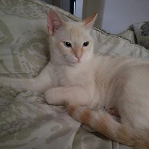 Meet your Posher, Leah